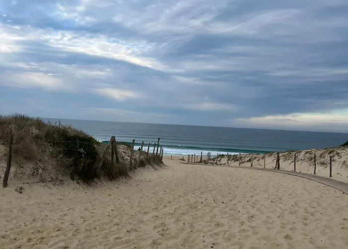 مكان تخييم Mobil سانيوس